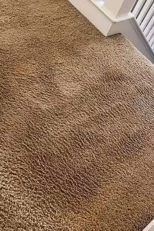 Bright Carpet & Upholstery Cleaning Bright Carpet & Upholstery Cleaning
