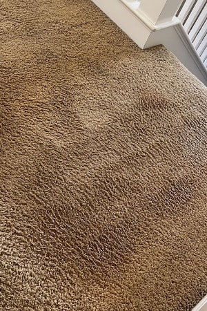 Bright Carpet & Upholstery Cleaning Bright Carpet & Upholstery Cleaning
